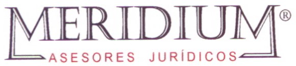 Meridium Logo